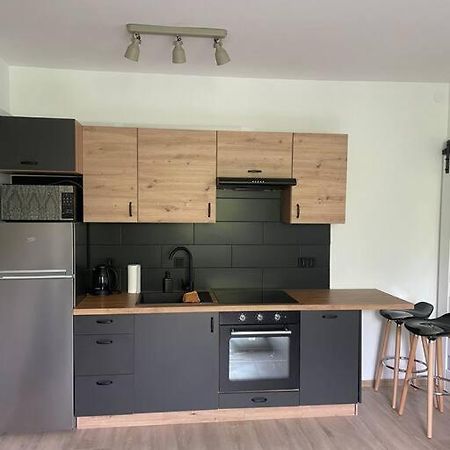 Apartament Kattowitz Sokolska Екстериор снимка
